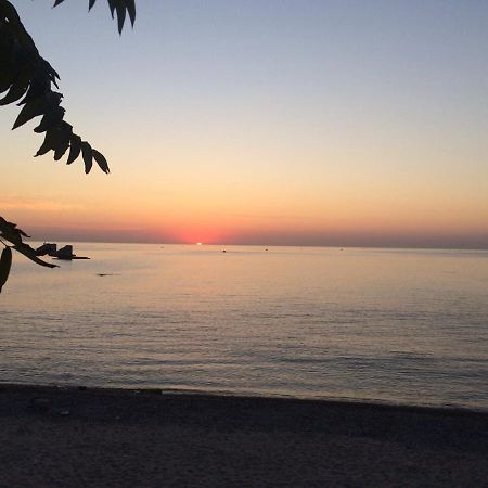 Сдам Комнату В Гостевом Домике Odessa Dış mekan fotoğraf