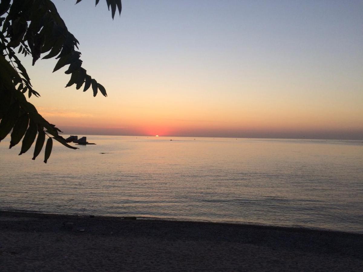Сдам Комнату В Гостевом Домике Odessa Dış mekan fotoğraf